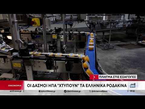 Πλήγμα στις εξαγωγές: Οι δασμοί ΗΠΑ "χτυπούν" τα ελληνικά ροδάκινα