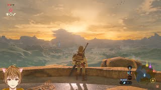【ゼルダの伝説 ブレス オブ ザ ワイルド】生まれて初めてのゼルダプレイ #2