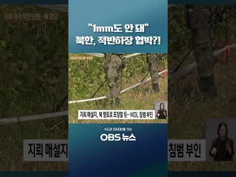 "1mm도 안 돼" <strong>북한</strong>, 적반하장 협박?! #DMZ #지뢰  #지뢰제거 #<strong>북한</strong> #서부전선