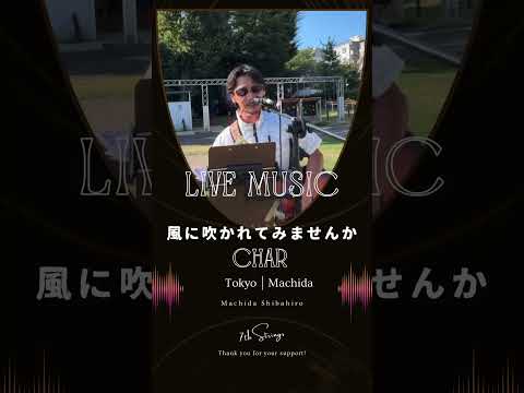 暑かったけれど3時間歌い続けました。🎸#風に吹かれみませんか #char #チャー #大工さんはギタリスト #ovation #弾き語り #カバー曲 #東京
