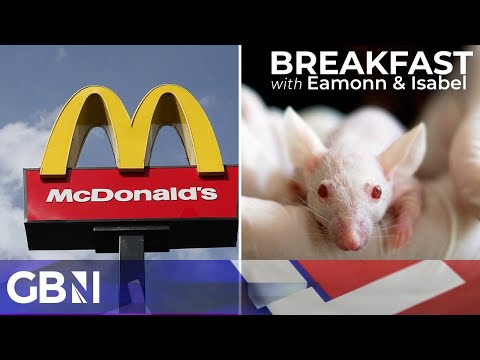 McDonald's hit by mice | Connor Tomlinson calls for 'public flogging' for pro-Palestine protestors