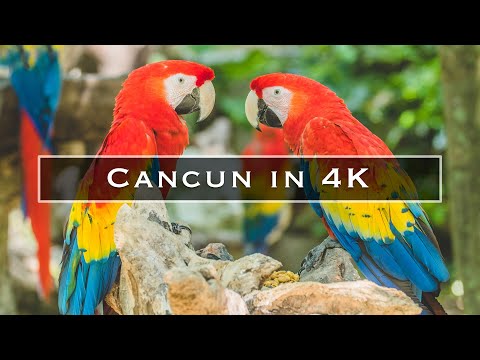 Cancun in 4k