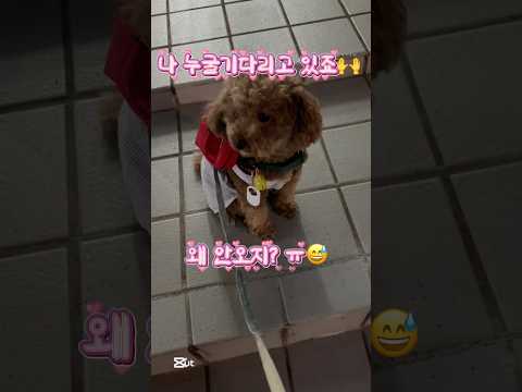 나지금 기다리고잇다💟💟💟어서와누나❣️💓💓💓💛💛💛#야간산책#데몬헌터스#lovely