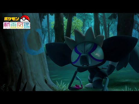 【公式】「ポケモン動画図鑑」No.0945 タギングルのサムネイル