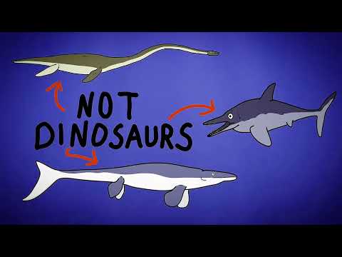 Dinosaur Fact #dinosaurs #dinosaurs #dinosaurmyths #dinosaursfacts