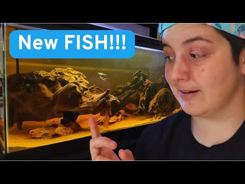 You ALL made THIS happen!!! In a past video, I said 