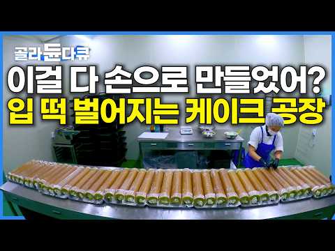공장이라고 다 기계가 찍어내는게 아니다｜대부분 수작업으로 만들어진다는 케이크 공장 제조 과정｜극한직업｜#골라듄다큐