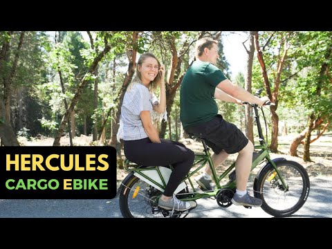 This Is The Perfect Electric Bike For A Passenger