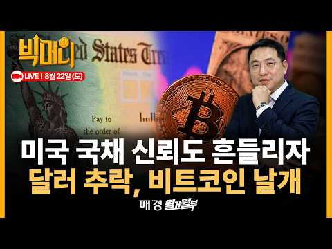 [문지웅의 빅머니 LIVE] 미국 국채, 달러 가치와 반대로 움직이는 비트코인과 Gold. 연준의 단기국채 보유 증가는 어떻게 봐야할까.