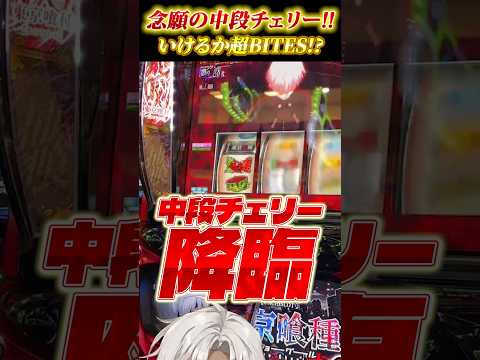 【東京喰種】中段チェリーでついについについに配信喰種初勝利‼️ #shorts #パチスロ #赫眼 #バイツ #不利益