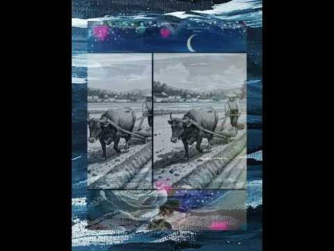 Meri cow 🐄 #ytshorts # tujhe naa dekhu # funny status #like & share #