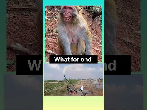 Lach tak dekho // Maro muze maro // #shorts #funny #comedy #trending