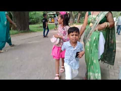 Chhatbir zoo park | Chandigarh | Mohali | Panchkula | zoo park | City zoo park , national zoo
