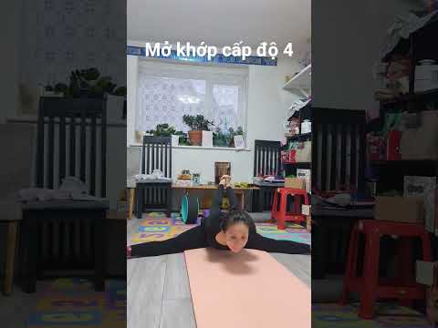 mở khớp ngang cấp độ 4