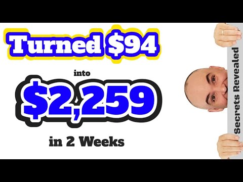 How I Made $2259 in Two Weeks with $94 dollars  -  yive 3.0 pcs tubegrowth Video SEO stacker views