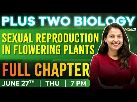 Plus Two Biology | Chapter 1 | Sexual Reproduction In Flowering Plants | Oneshot | Exam Winner