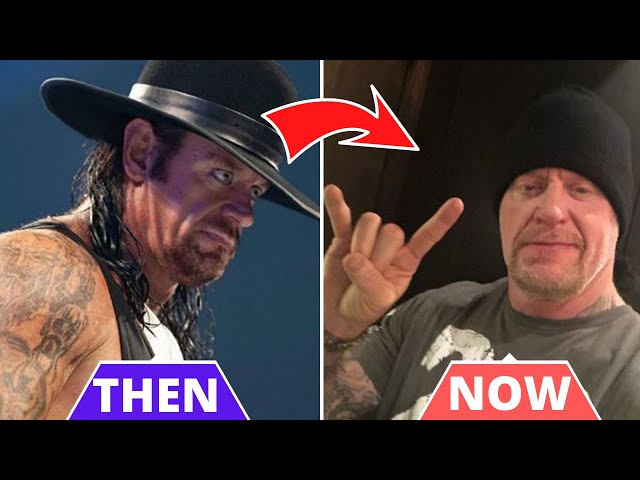 Is The Undertaker Still In WWE?