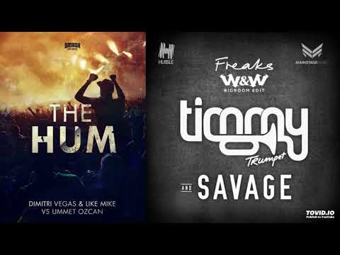 Dimitri Vegas & Like Mike vs Timmy Trumpet & W&W - Freaks Hum