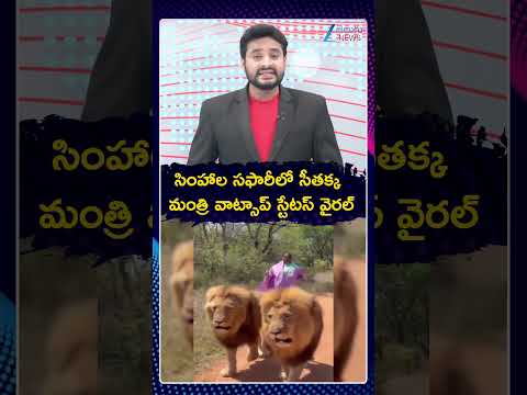 Seethakka Lion Safari <strong>Video</strong> || సింహాల సఫారీలో సీతక్క మంత్రి వాట్సాప్ స్టేటస్‌ వైరల్ | ZEE <strong>News</strong>