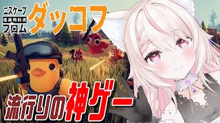 【Escape From Duckov】そう簡単にはやられないぜ！/有識者、初見さん大歓迎✨