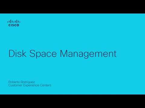 Disk Space Management