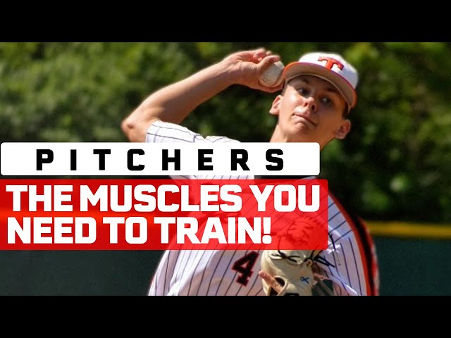 What Muscles Are Important For Playing Baseball?