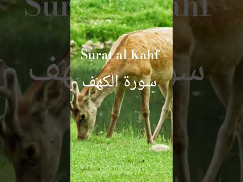سورة الكهف #quran# Surat al Kahf