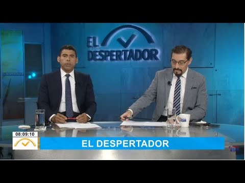 EN VIVO 15/5/2023 #ElDespertadorCompleto