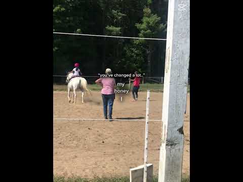 My honey I knowwww#equestrianriding #horse #smalljump #miniaturehorse #flipy #equestrian