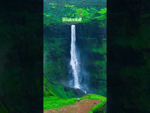 King of waterfall in Maharashtra # YouTube trending video # shorts video # MrSamVlogs