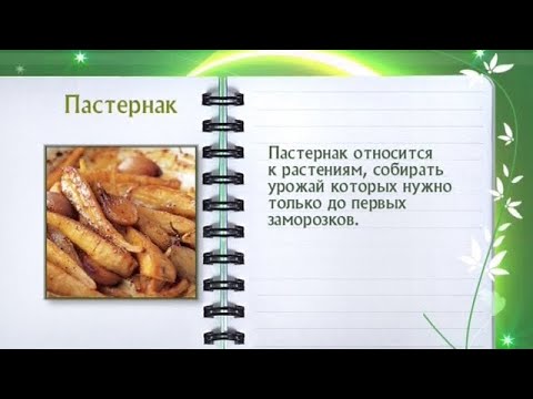 Кулинарная энциклопедия - Пастернак - UC7XBjhXnmmXFsxmnys9PmDQ