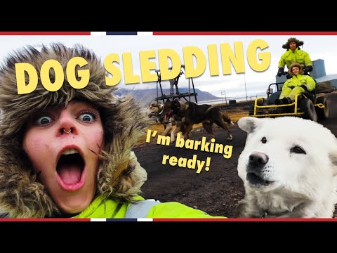 Exploring Svalbard by dog sled on wheels! | Vist Norway