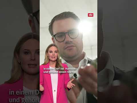 Nachhaltige Garnelen dank Hightech