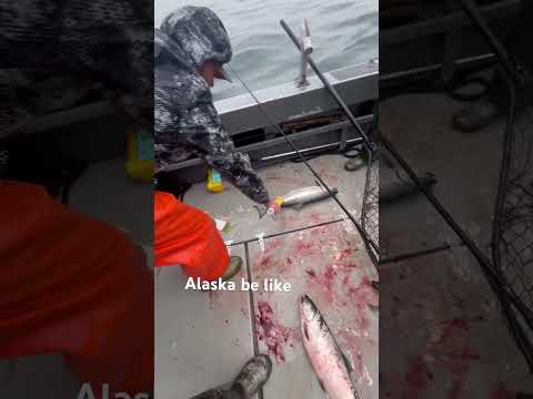 FISHING IN ALASKA #fishing #sea #trout #ocean