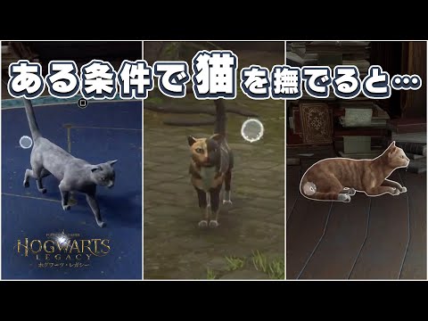 校内から猫を消し去るクソ呪文。ネコキエールをご紹介【ホグワーツレガシー】