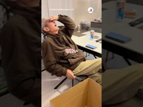 猫の動画サムネイル - 保護犬を迎え入れた時のお父さんの衝撃｜PECO #shorts