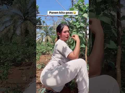 #gadisdesa #shortsfeed #shorts #viral #cute #waterfall #humor #outfit #funny #comedy #vlog