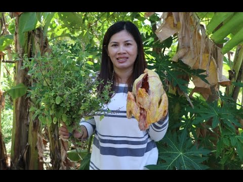How To Cook Chha kdao sach man - Beautiful Girl Cooking -  Village Food Factory