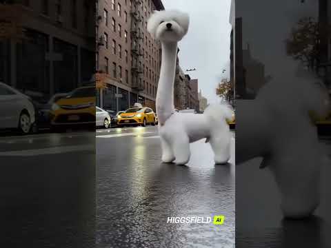 My dog Lily extended version #ai #funny #shorts #ytshorts