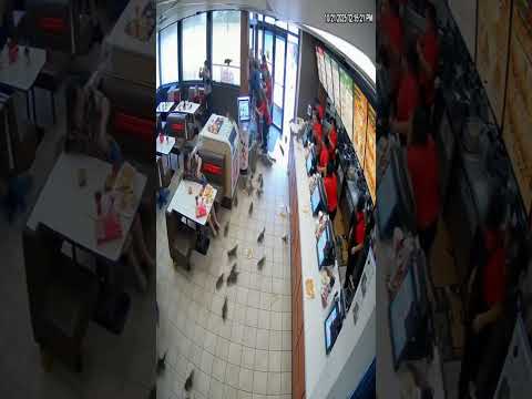 Fast Food Frenzy: Squirrel Edition 🐿️🍟