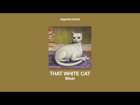mitski – that white cat (lyrics)