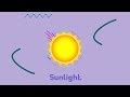 Motion Graphics