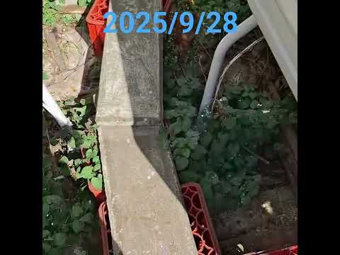 なんか？体うごかさないと？