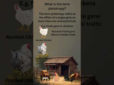 Pleiotropy #biology #genetics #biology #biologyshorts #ytshorts #yt #ytviral #youtubeshorts #youtube