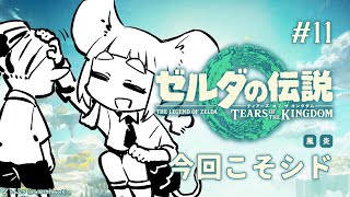 #11 今回こそシド【ゼルダの伝説 ティアーズ オブ ザ キングダム│#まうはまうまう】