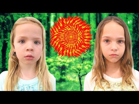 The Toy Master's Unicorn Trap! - UC8MR0wSTbzs5Yo7DgP04P-w