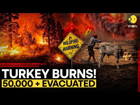 Turkey Wildfire LIVE: Turkey Burns! More Than 50,000 Evacuated | Emergency in Turkey | WION LIVE