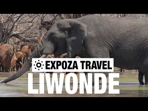 Liwonde National Park (Malawi) Vacation Travel Video Guide - UC3o_gaqvLoPSRVMc2GmkDrg