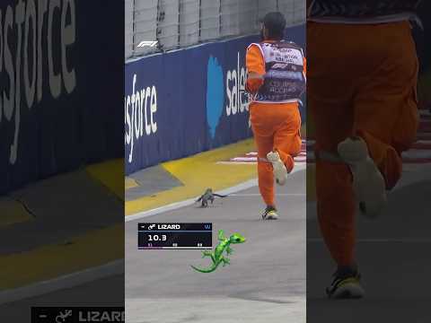 FORMULA 1