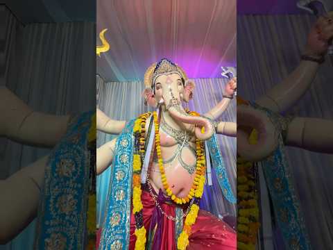 #ganeshchaturthi #hyderabad #lordganesha #ganapati #ganeshutsav